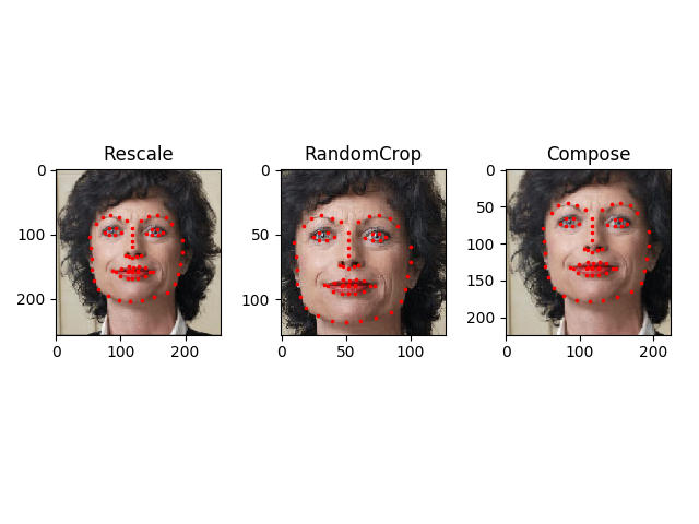 ../_images/sphx_glr_data_loading_tutorial_003.png